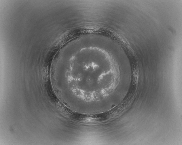 X0000116030657200911201256