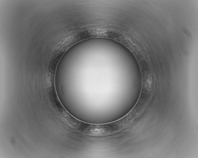 X0000116030658200911201256