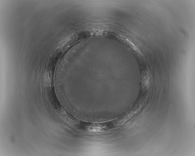 X0000116030661200911201256