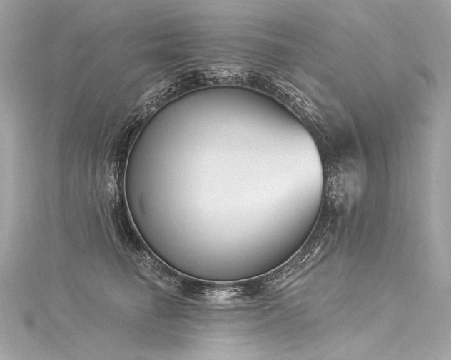 X0000116030662200911201256