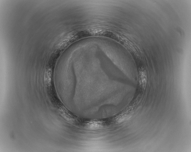 X0000116030664200911201256