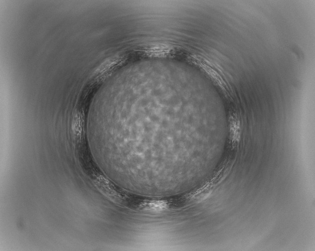 X0000116030665200911201256