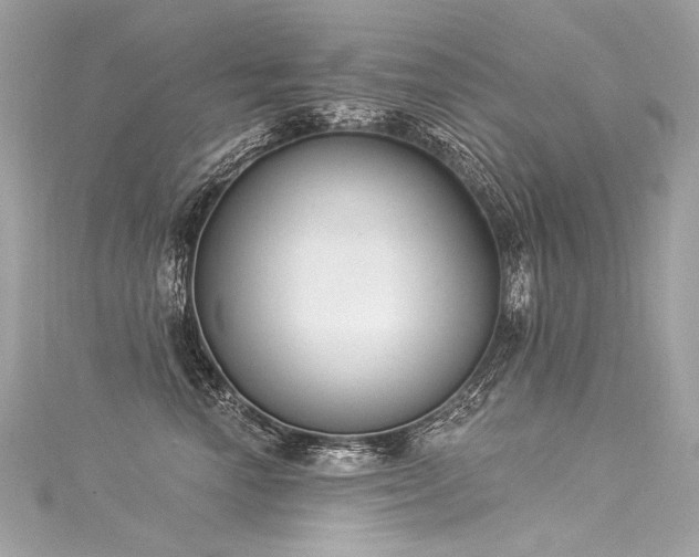 X0000116030666200911201256