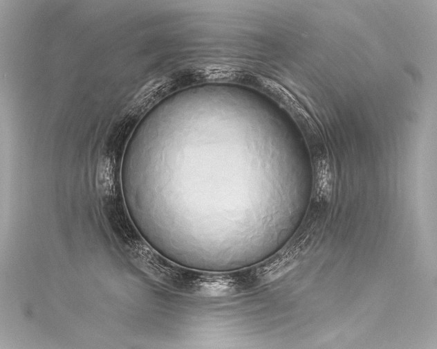 X0000116030667200911201256