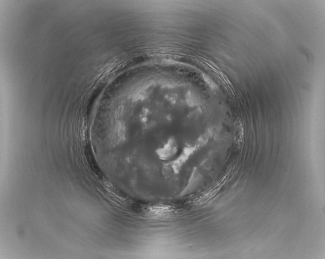 X0000116030669200911201256
