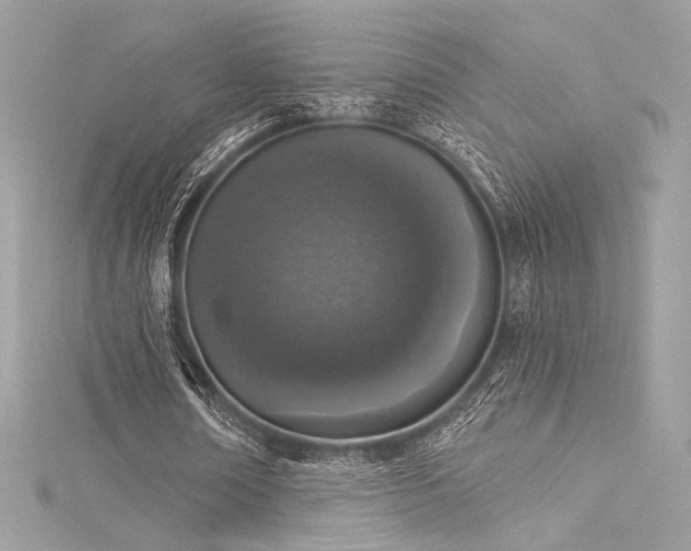 X0000116030674200911201255