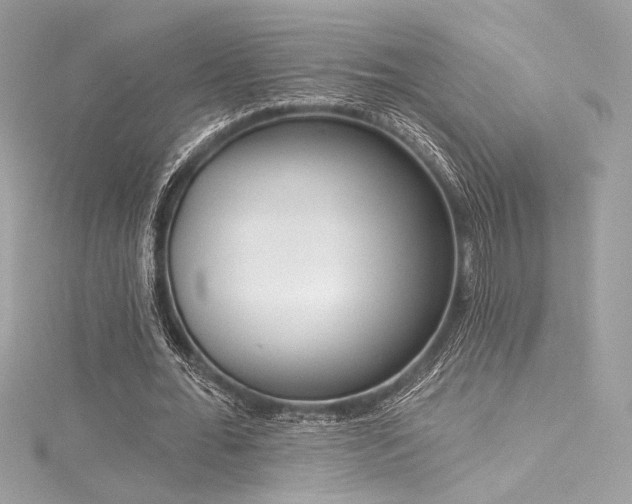 X0000116030676200911201255