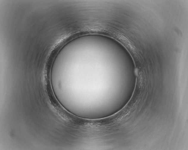 X0000116030680200911201255