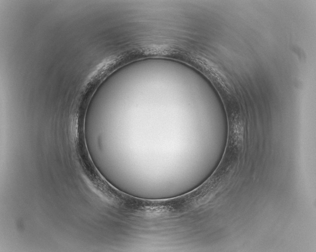 X0000116030686200911201255