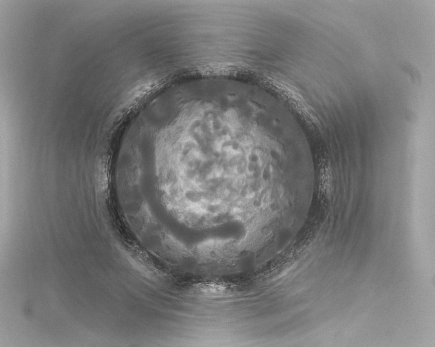 X0000116030687200911201255