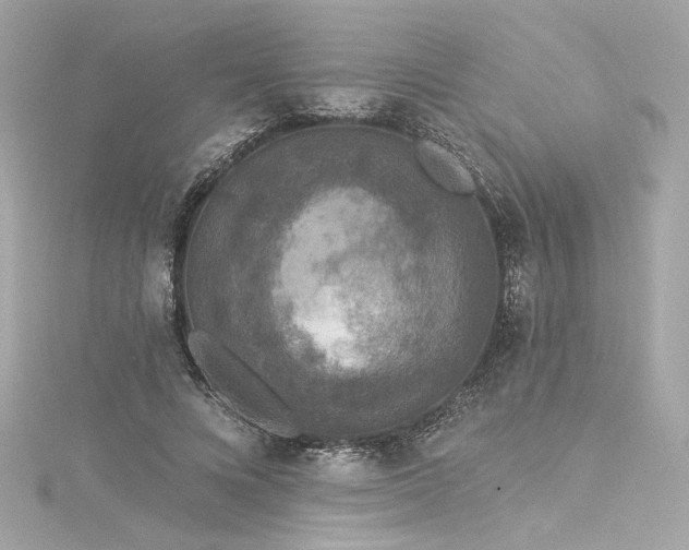 X0000116030688200911201255