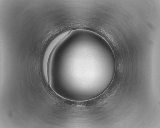 X0000116030689200911201255