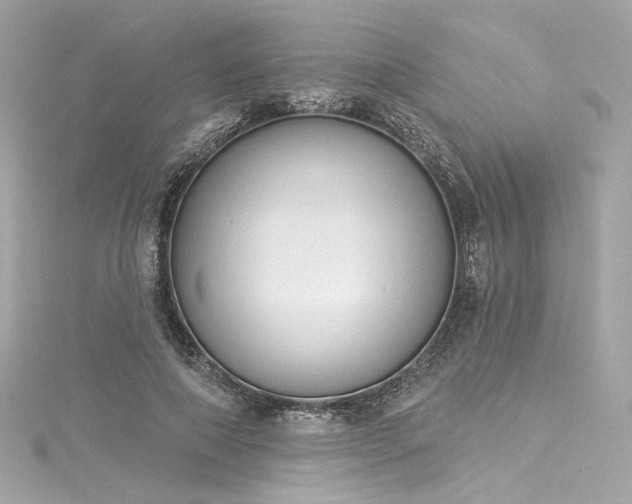 X0000116030690200911201255
