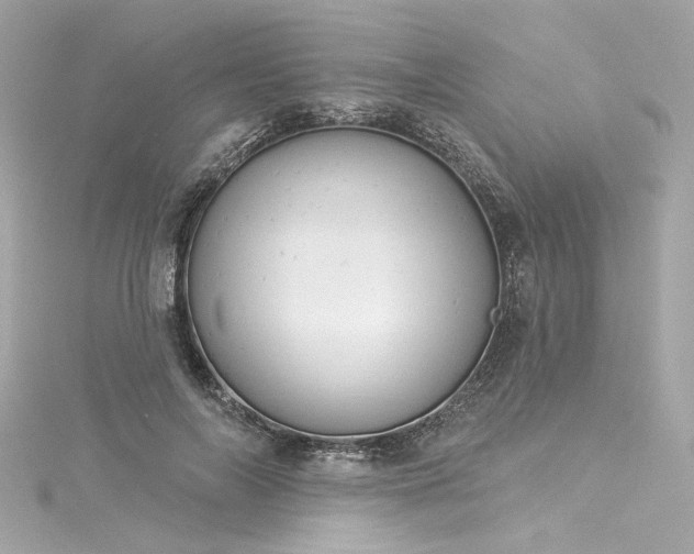 X0000116030694200911201255