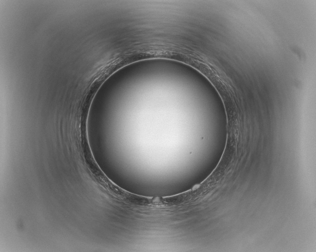 X0000116030696200911201255