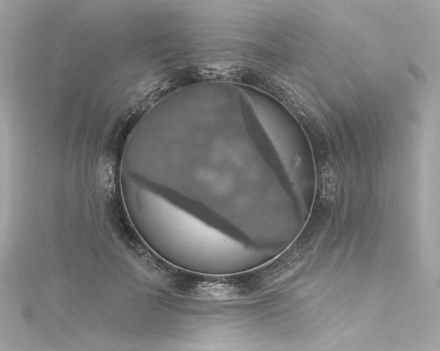 X0000116030699200911201255