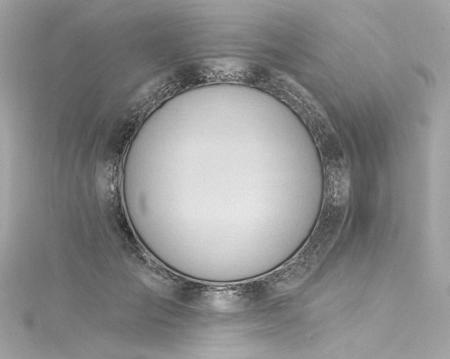 X0000116030701200911201255