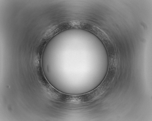 X0000116030702200911201255