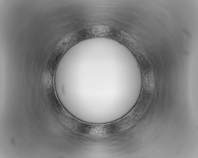 X0000116030705200911201255