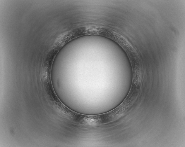 X0000116030706200911201255