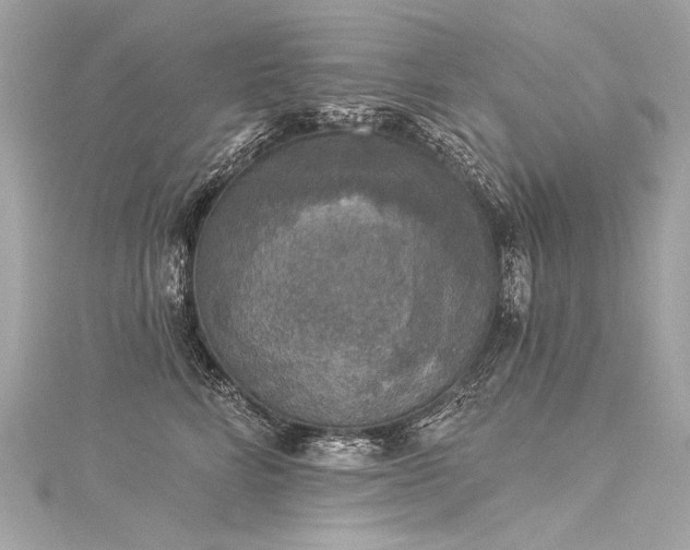 X0000116030712200911201255