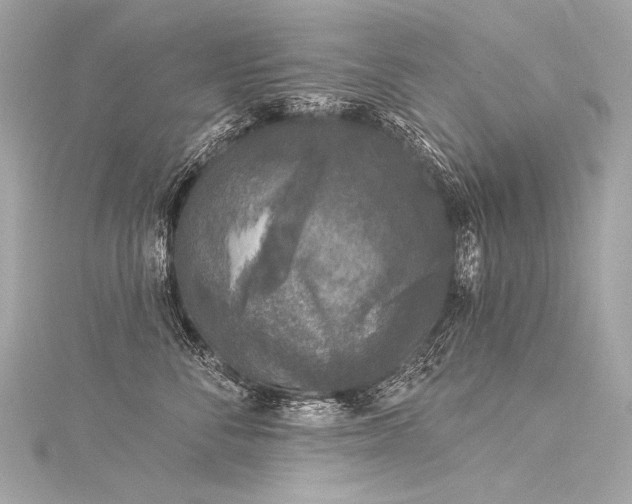 X0000116030716200911201255