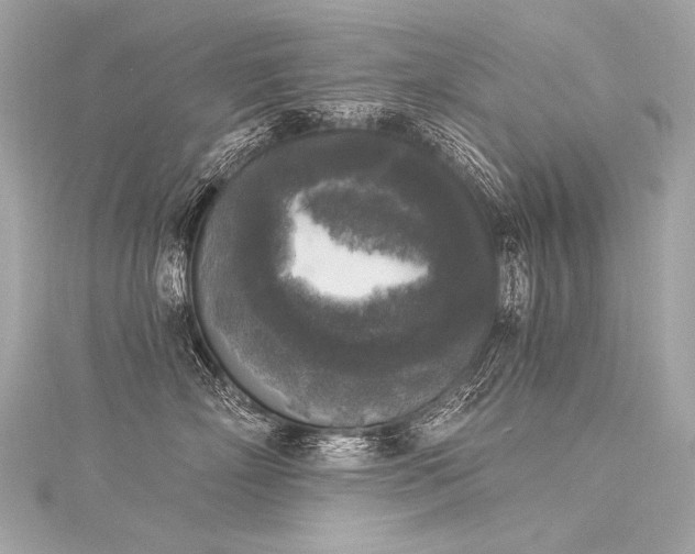 X0000116030718200911201255