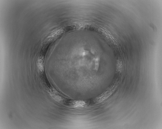X0000116030719200911201255