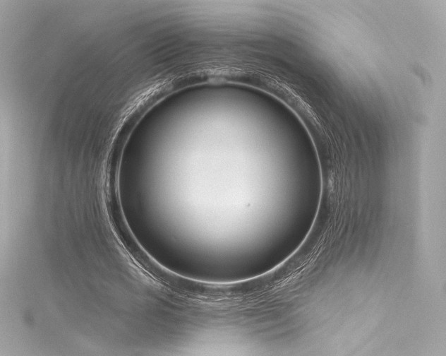 X0000116030725200911201254