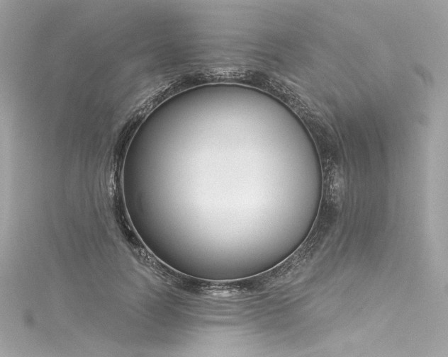 X0000116030746200911201254