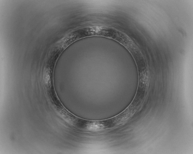 X0000116030754200911201254