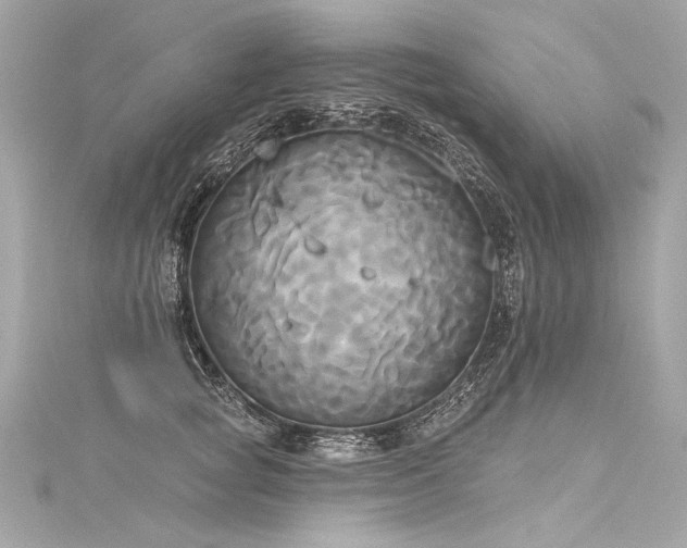 X0000116030757200911201254