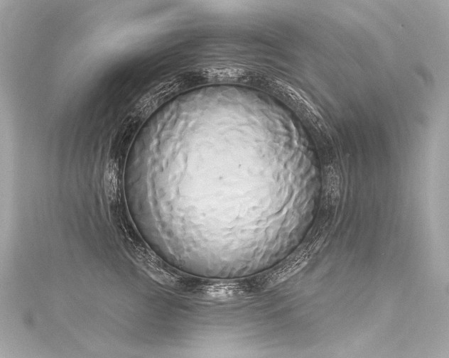 X0000116030761200911201255