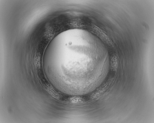 X0000116030762200911201255
