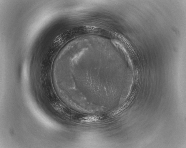 X0000116030765200911201255
