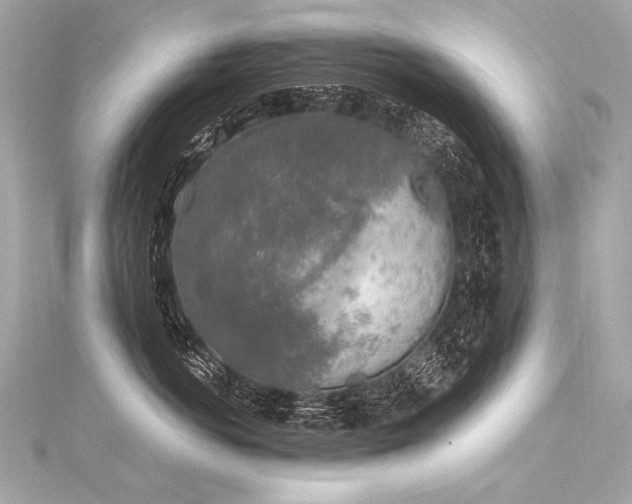 X0000116030766200911201255