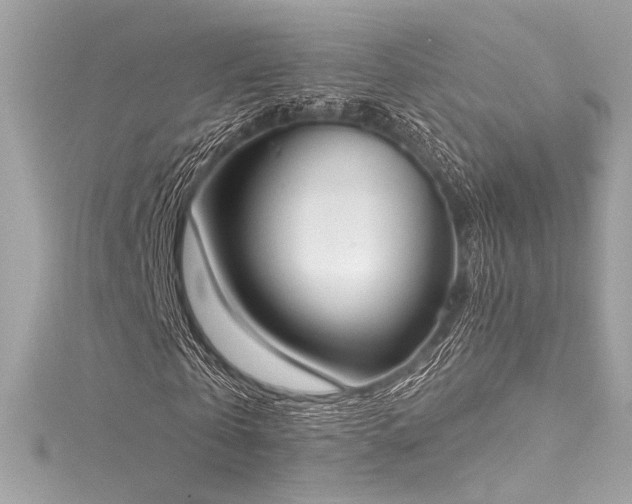 X0000116030769200911201254
