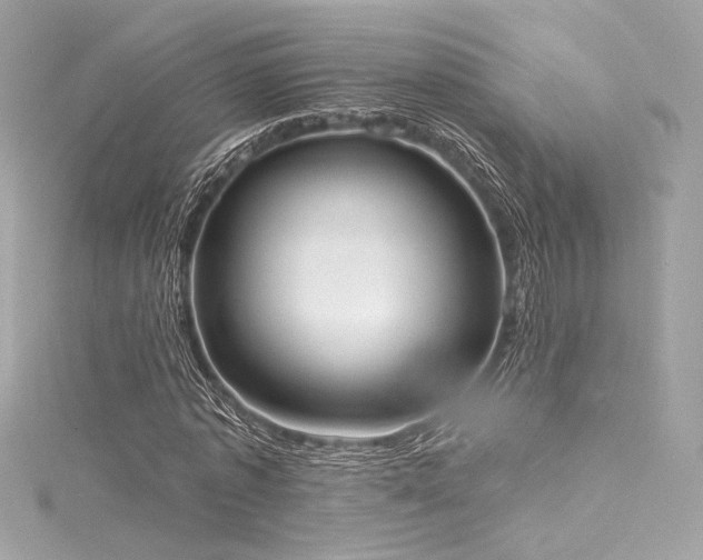 X0000116030773200911201254