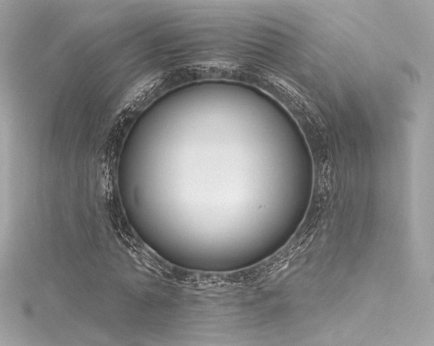 X0000116030774200911201254