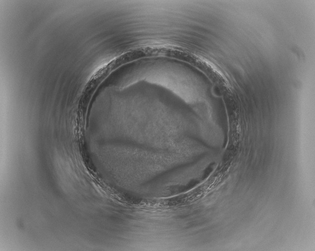 X0000116030775200911201254