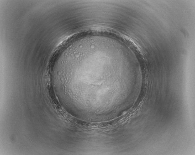 X0000116030776200911201254