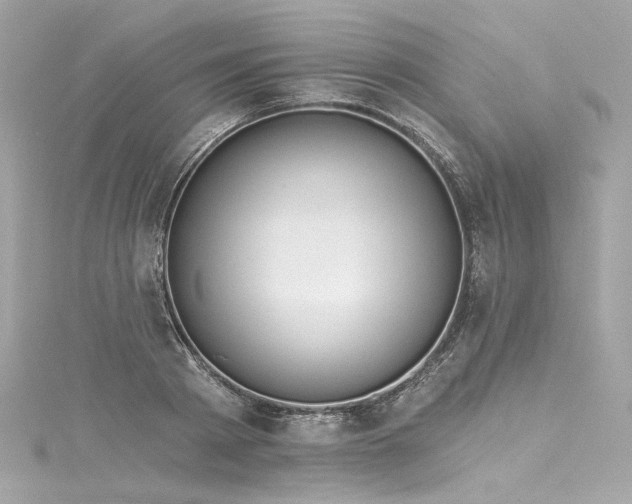 X0000116030793200911201254