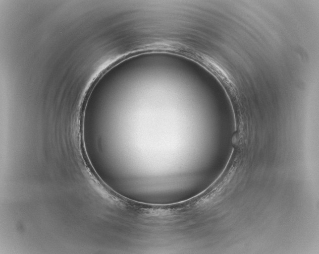 X0000116030800200911201253