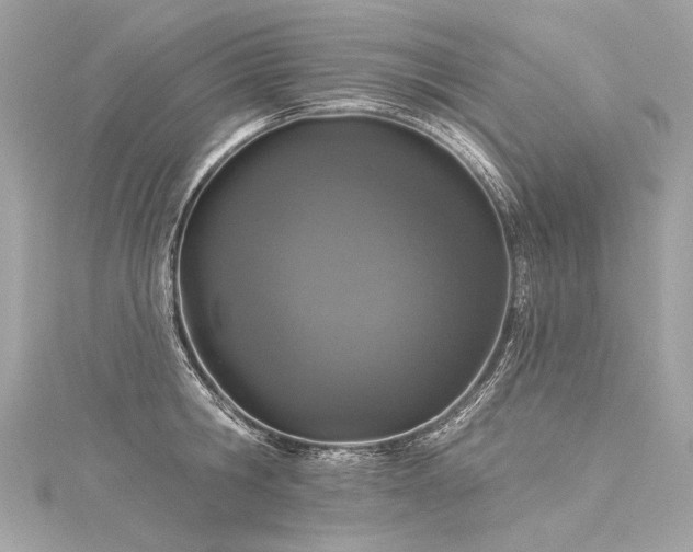 X0000116030806200911201253
