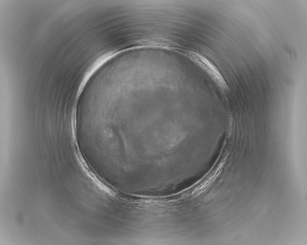 X0000116030812200911201253
