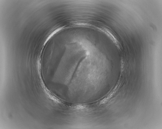 X0000116030814200911201253