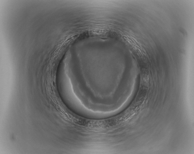 X0000116030817200911201253