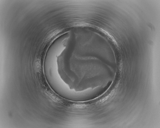 X0000116030825200911201253