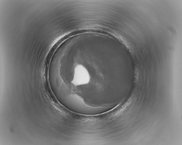 X0000116030830200911201253