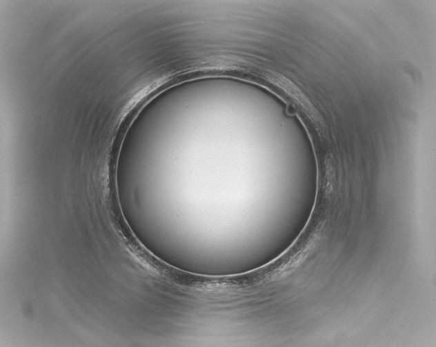 X0000116030834200911201253